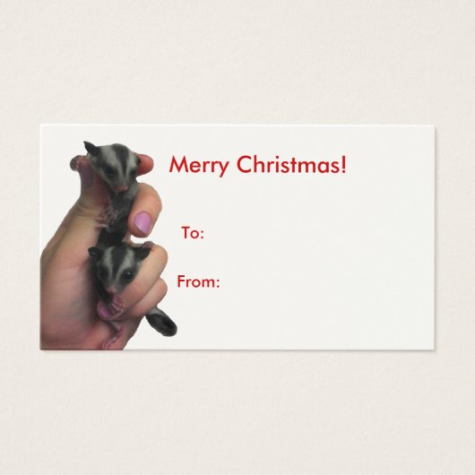 Baby Sugar Gliders Merry Kerstmis Big Label Visitekaartje (Voorkant)