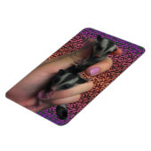 Baby Sugar Gliders Photo Magnet Magneet (Linkerzijde)