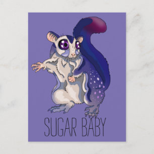 Baby Suikerglider Briefkaart