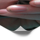 baby-suikerzweefvliegtuig poster (Hoek)