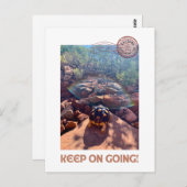 Baby sulcata schildpad blijft inspireren briefkaart (Voorkant / Achterkant)