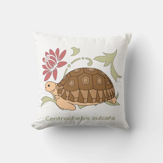 Baby Sulcata Tortoise Pillow Kussen (Voorkant)