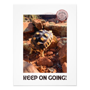 Baby Sulcata wandelen in Sedona Red Rocks Arizona Foto Afdruk