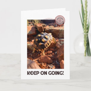 Baby Sulcata wandelen in Sedona Red Rocks Arizona Kaart