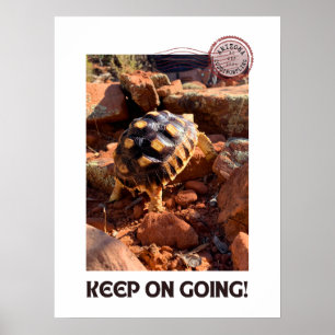 Baby Sulcata wandelen in Sedona Red Rocks Arizona Poster