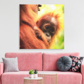 Baby Sumatran Orangutan Canvas Afdruk (Insitu (Woonkamer))