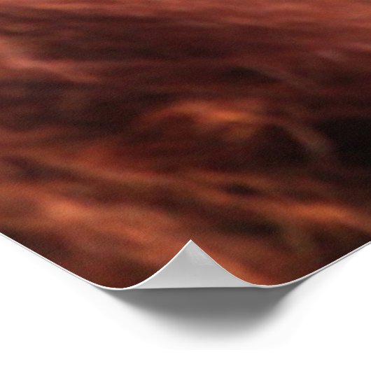 Baby Sumatran Orangutan Poster (Hoek)