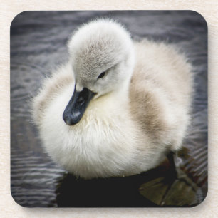 Baby Swan Cygnet Drankjes Onderzetter