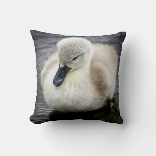 Baby Swan | Cygnet Kussen (Voorkant)