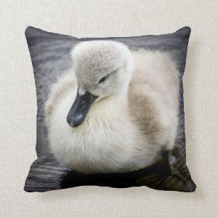 Baby Swan Cygnet Kussen