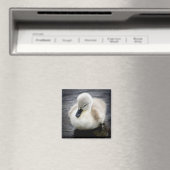Baby Swan | Cygnet Magneet (Insitu (Vaatwasser))