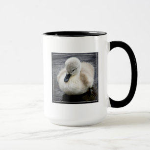 Baby Swan Cygnet Mok