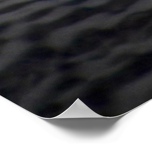 Baby Swan | Cygnet Poster (Hoek)