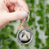 Baby Swan | Cygnet Sleutelhanger (Hand)