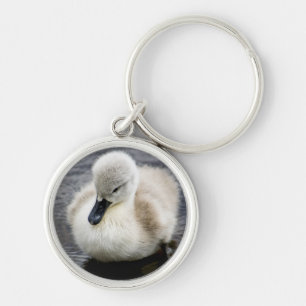 Baby Swan   Cygnet Sleutelhanger