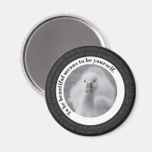 Baby Swan Wees jezelf zwart en wit Magneet (Voorkant / Achterkant)