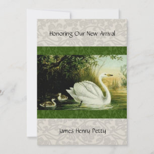 Baby Swans Baby shower-uitnodiging Kaart