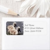 Baby Swans Mailing Label (Insitu)