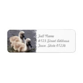Baby Swans Mailing Label (Voorkant)