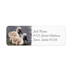 Baby Swans Mailing Label