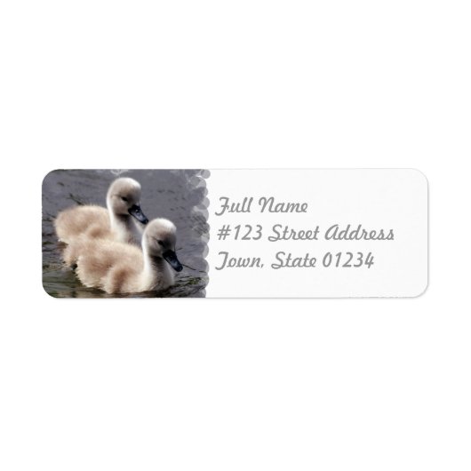 Baby Swans Mailing Label (Voorkant)