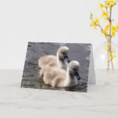 Baby Swans-Wenskaart Kaart (Gele Bloem)