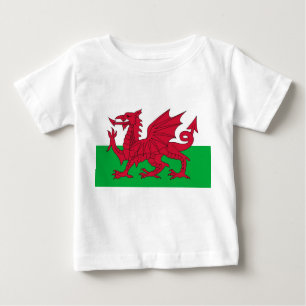 Baby T-shirt met vlag van Wales