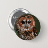 Baby Tawny Owl Ronde Button 5,7 Cm (Voorkant /achterkant)
