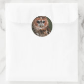 Baby Tawny Owl Ronde Sticker (Tas)