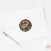 Baby Tawny Owl Ronde Sticker (Envelop)