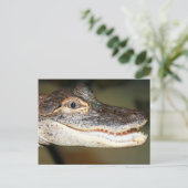 Baby Teeth Briefkaart (Staand voorkant)