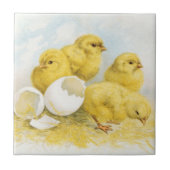  Baby Tegeltje (Voorkant)