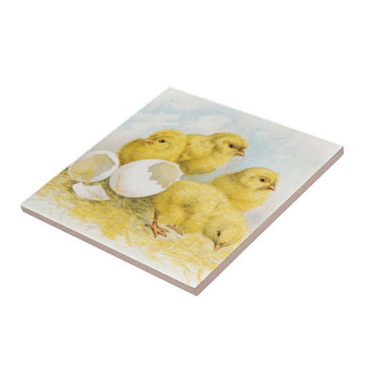  Baby Tegeltje (Zijkant)