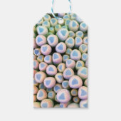 Baby tenen Succulent Gift Labels Cadeaulabel (Voorkant)