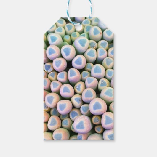 Baby tenen Succulent Gift Labels Cadeaulabel (Voorkant)