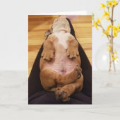 Baby Thor het Wenskaart van de Buldog Kaart (Gele Bloem)