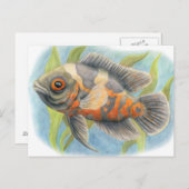 Baby Tiger Oscar Briefkaart (Voorkant / Achterkant)