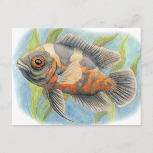 Baby Tiger Oscar Briefkaart (Voorkant)