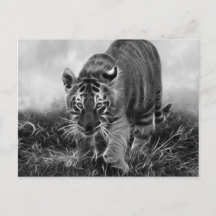 Baby Tiger stalkt in zwart-wit Briefkaart