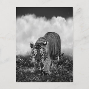 Baby Tiger stalkt in zwart-wit Briefkaart