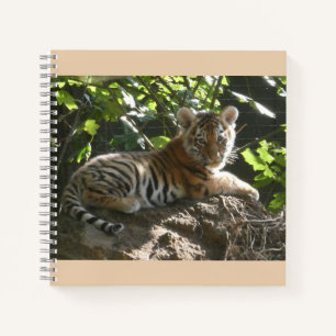 Baby Tijger in de zon Notitieboek