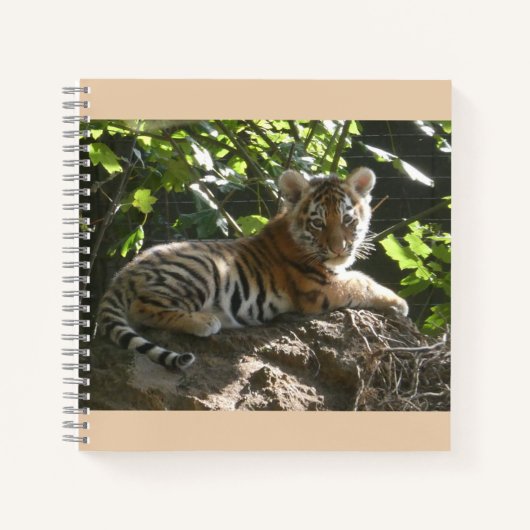 Baby Tijger in de zon Notitieboek (Voorkant)
