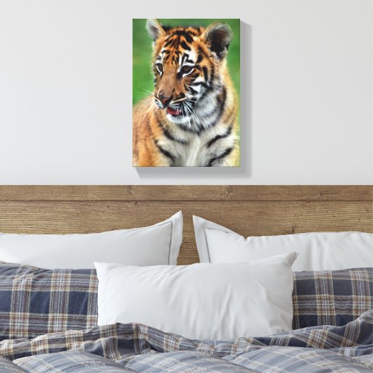 Baby tijger in kleur canvas afdruk (Insitu (Slaapkamer))