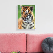 Baby tijger in kleur canvas afdruk (Insitu (Woonkamer))