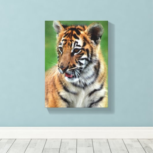 Baby tijger in kleur canvas afdruk (Insitu (Houten vloer))