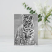 Baby tijger in zwart-wit briefkaart (Staand voorkant)
