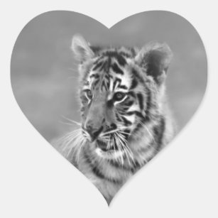 Baby tijger in zwart-wit hart sticker