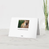 baby tijgerwenskaart  kaart (Achterkant)