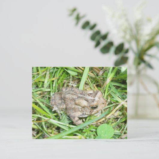 Baby Toad Briefkaart (Staand voorkant)