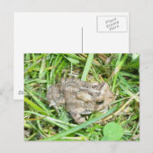 Baby Toad Briefkaart (Voorkant / Achterkant)